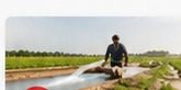 Agriculture and rural development